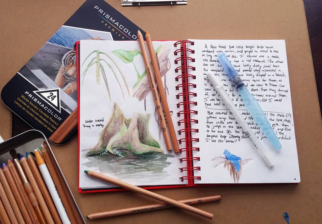 Urban Sketching for Beginners