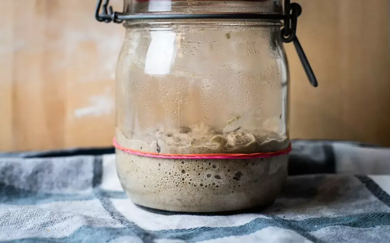 Why Your Sourdough Starter Smells Off and How to Fix It